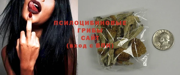 спиды Козельск