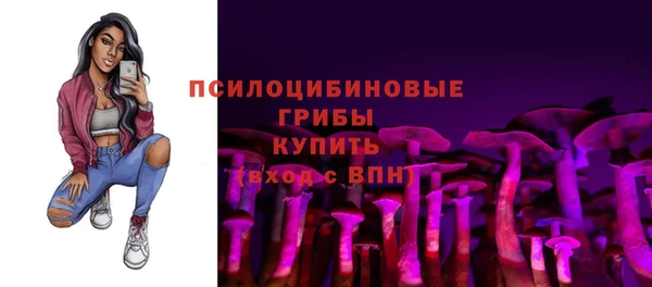 спиды Козельск