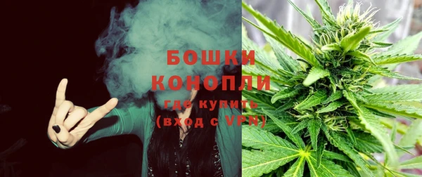 спиды Козельск