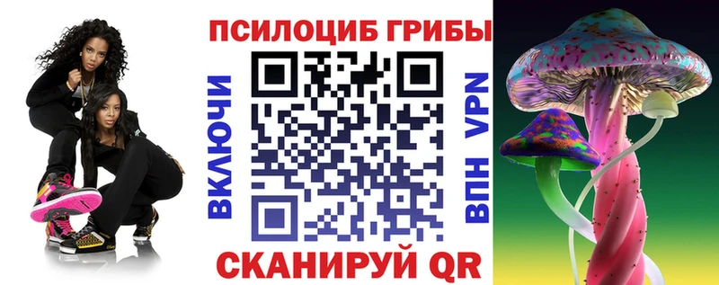 Псилоцибиновые грибы GOLDEN TEACHER  Купить закладки  Котельнич 